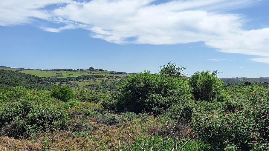 0 Bedroom Property for Sale in Forest Downs Eastern Cape